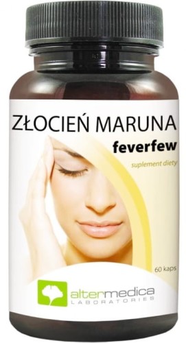 złocien maruna.jpg