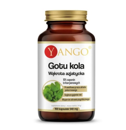 Gotu Kola Wąkrota azjatycka 100 kapsułek YANGO prawidłowa praca układu pokarmowego, szybsze gojenie ran, wsparcie zdrowia psychicznego