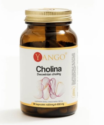Cholina Dwuwinian choliny 90 kapsułek YANGO prawidłowy metabolizm homocysteiny i lipidów, utrzymanie prawidłowych funkcji wątroby
