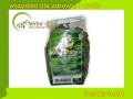 morwa biała liście i owoce.jpg