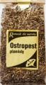 Ostropest plamisty.jpg