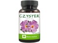 czystek (Copy).jpg