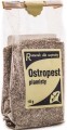 Ostropest plamisty ASTRON.jpg