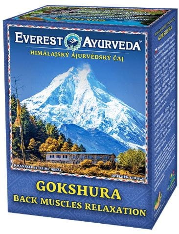 Gokshura herbatka.JPG