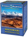 Shatawari herbatka.JPG