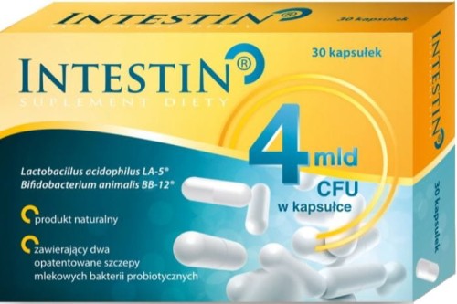 Intestin Probiotyk.JPG