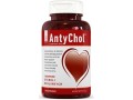 antychol (Copy).jpg