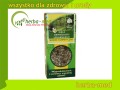 ziele krwiściągu lekarskiego.jpg