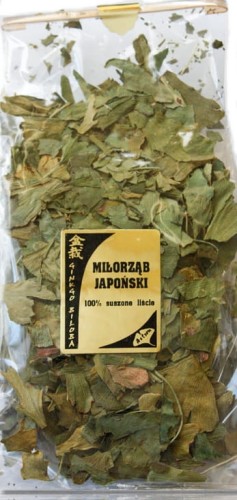 Miłorząb Japoński 100g.jpg
