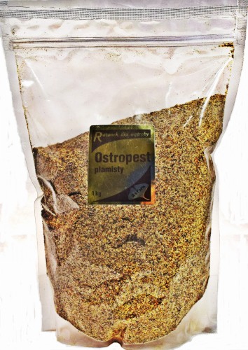 Ostropest plamisty Astron.JPG