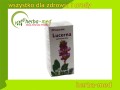 lucerna.jpg
