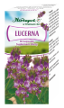 lucerna herbapol.jpg