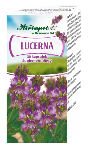 lucerna herbapol.jpg