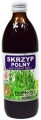 Skrzyp polny.jpg